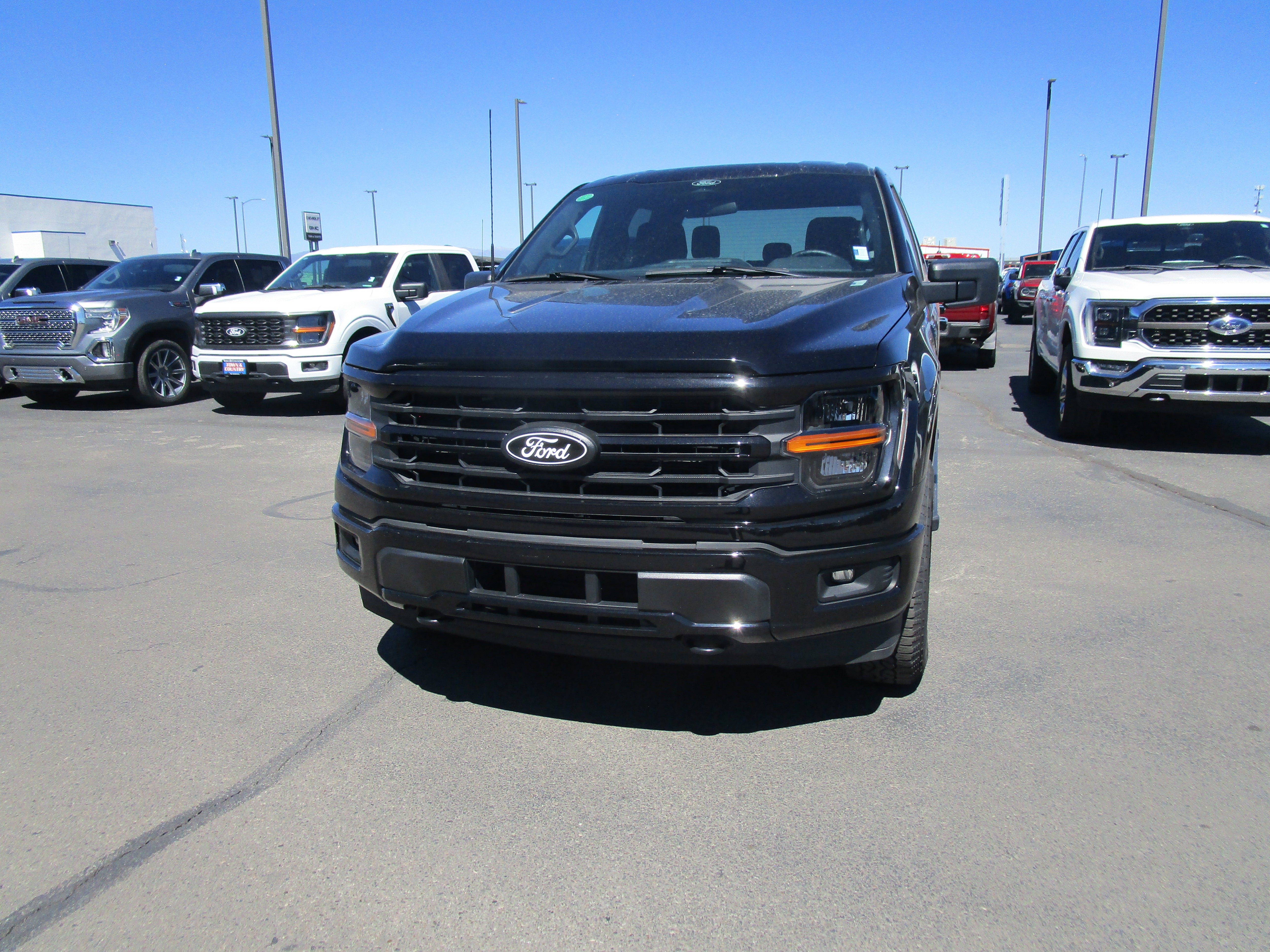 2025 Ford F-150 XLT in Black — front three-quarter view